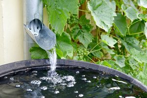 Wood Rain Barrel