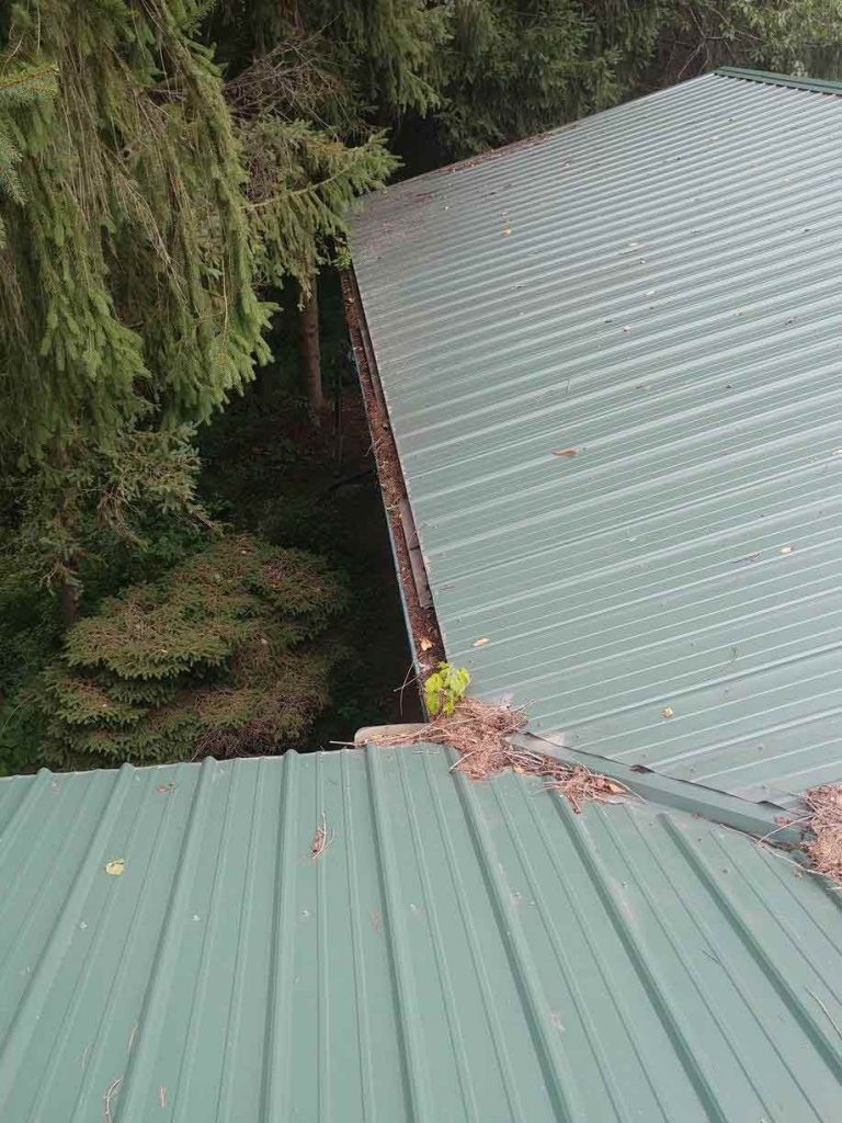 Gutter Guards Installed on Metal Roof - Before