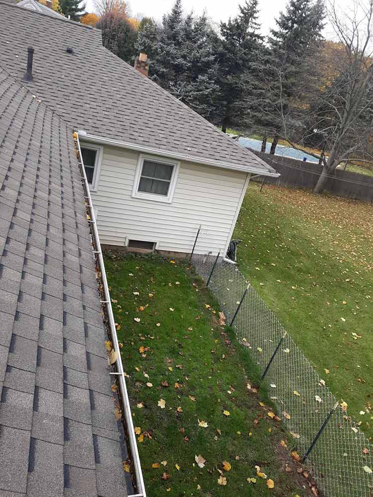 Professional Gutter Tune-Up - Before