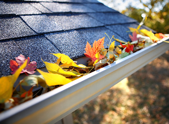 Replace Unprotected Gutters